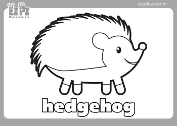 Hedgehog Coloring Page